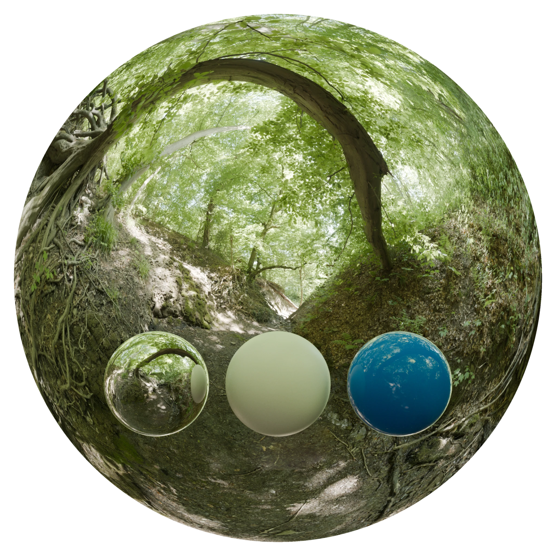 Day Environment HDRI 078