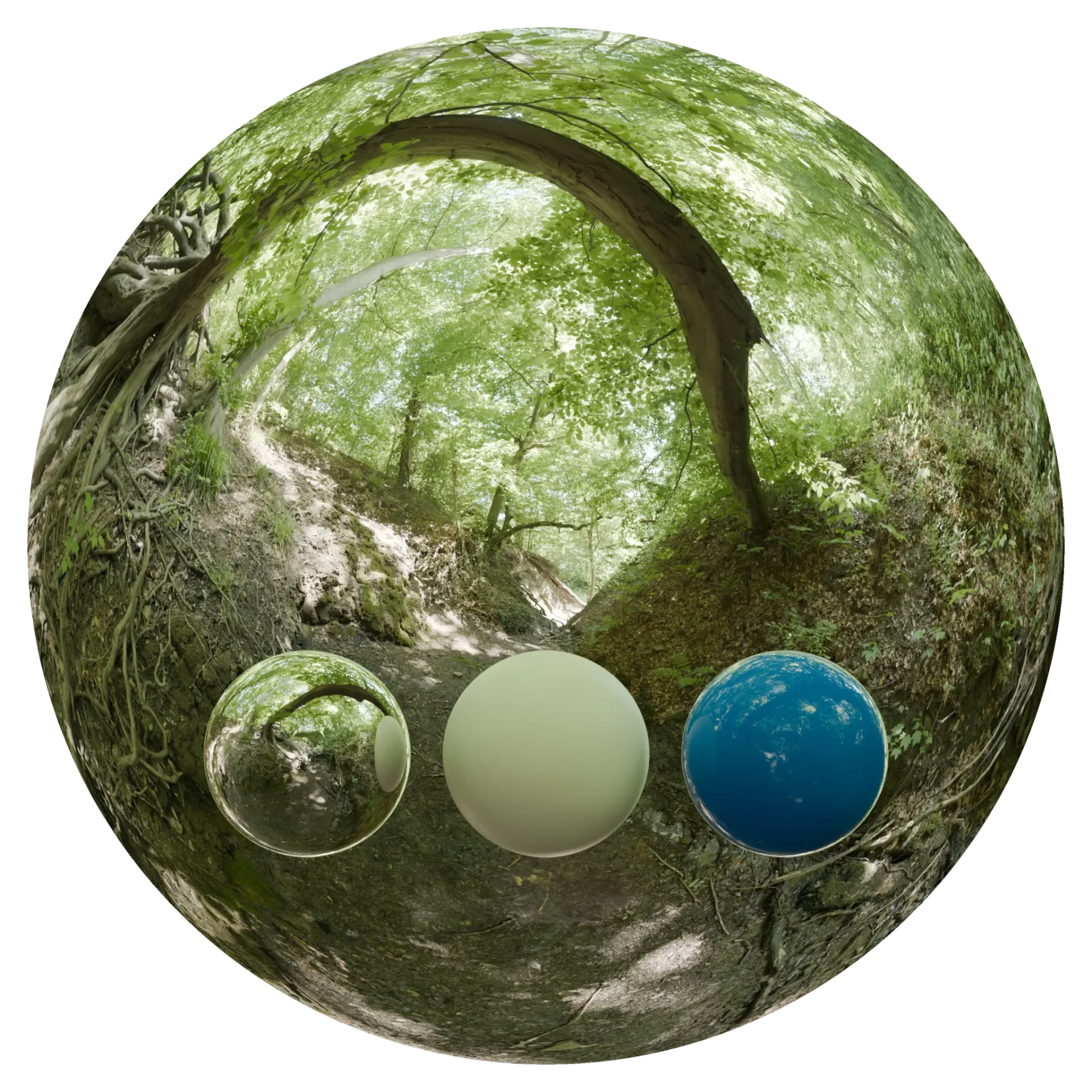 Day Environment HDRI 078