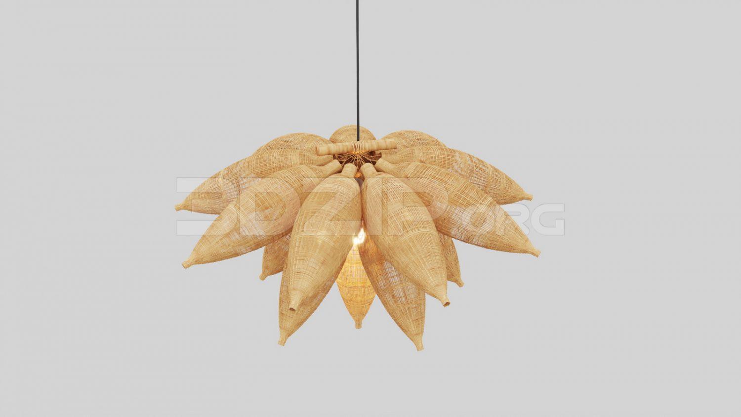 Ceiling Light