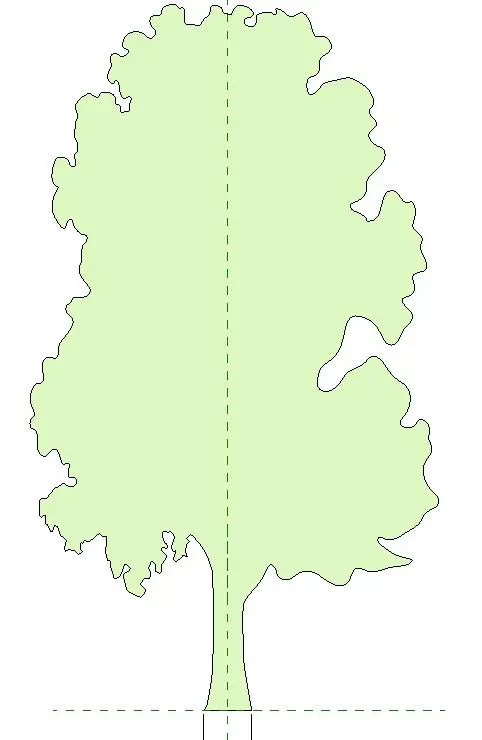 2D Tree Elevation Parametric Scale with Height — preview 1, by Elnazer2 (RevitCity, CC0)