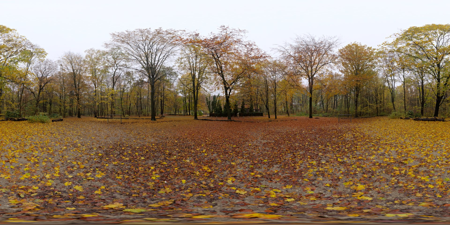 Autumn Hockey
