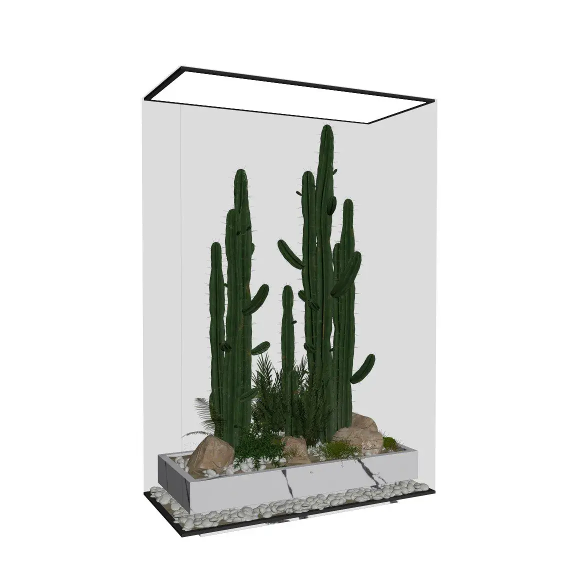 Plant