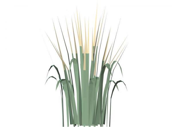 3d Decorative Grass