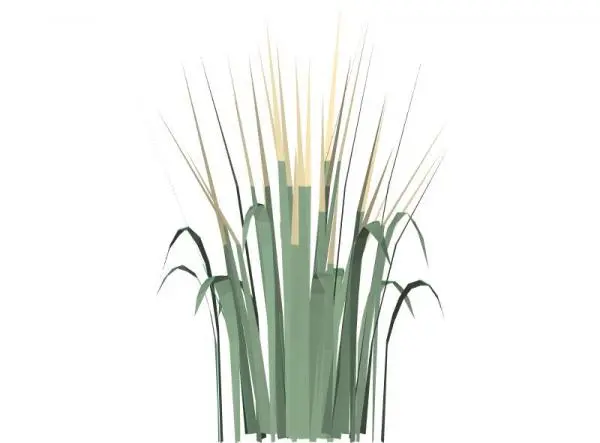 3d Decorative Grass