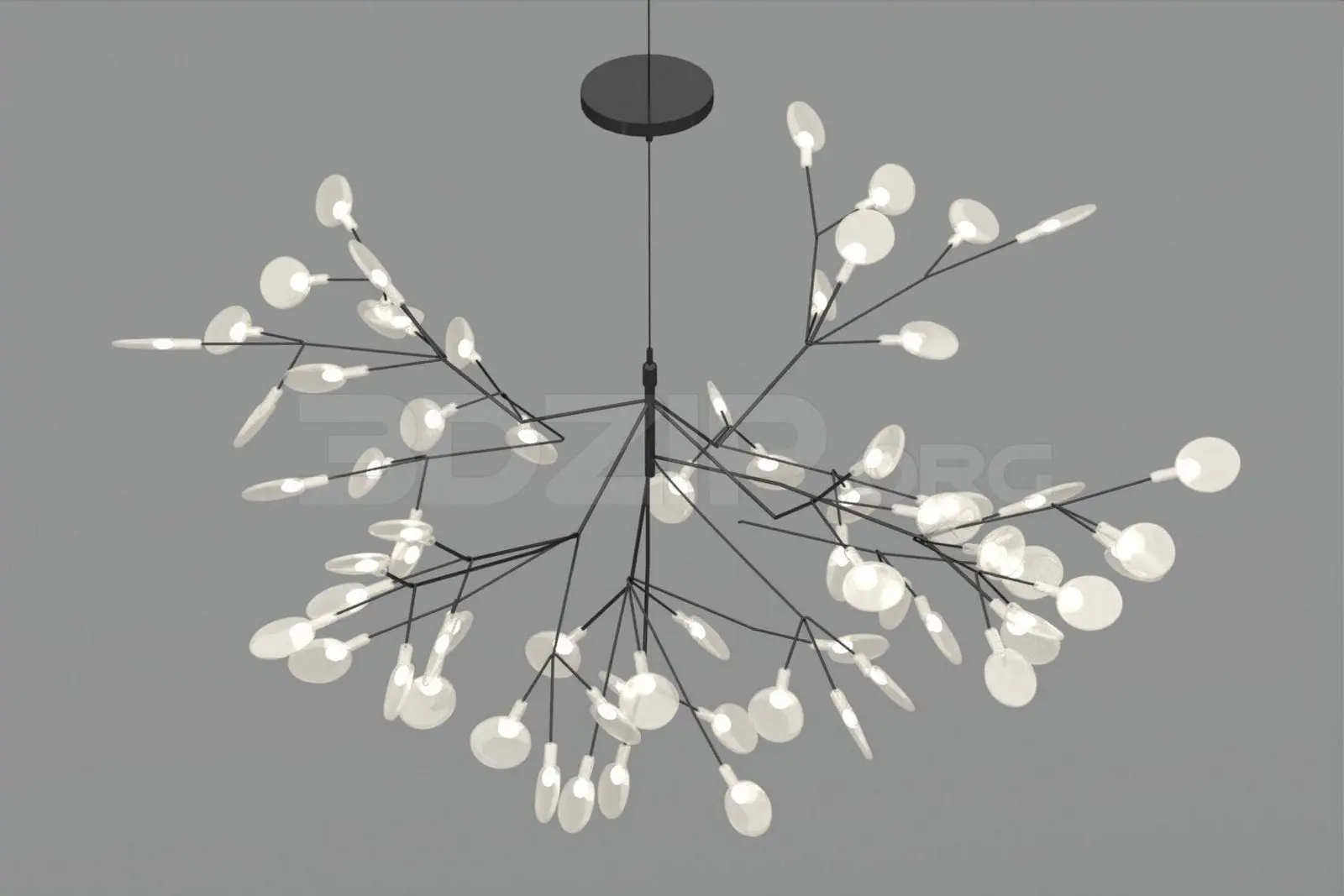 Ceiling Light