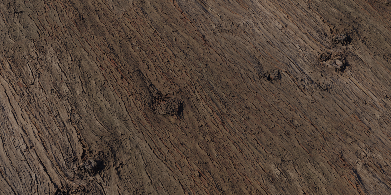 Chinese Cedar Bark