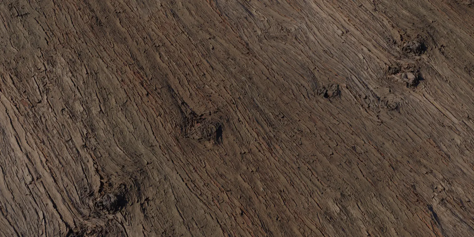 Chinese Cedar Bark