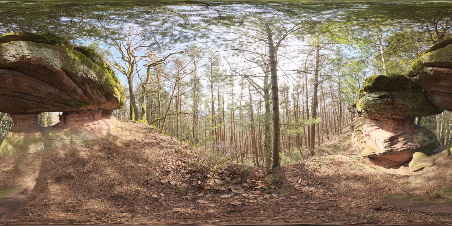 PfäLzer Forest 1