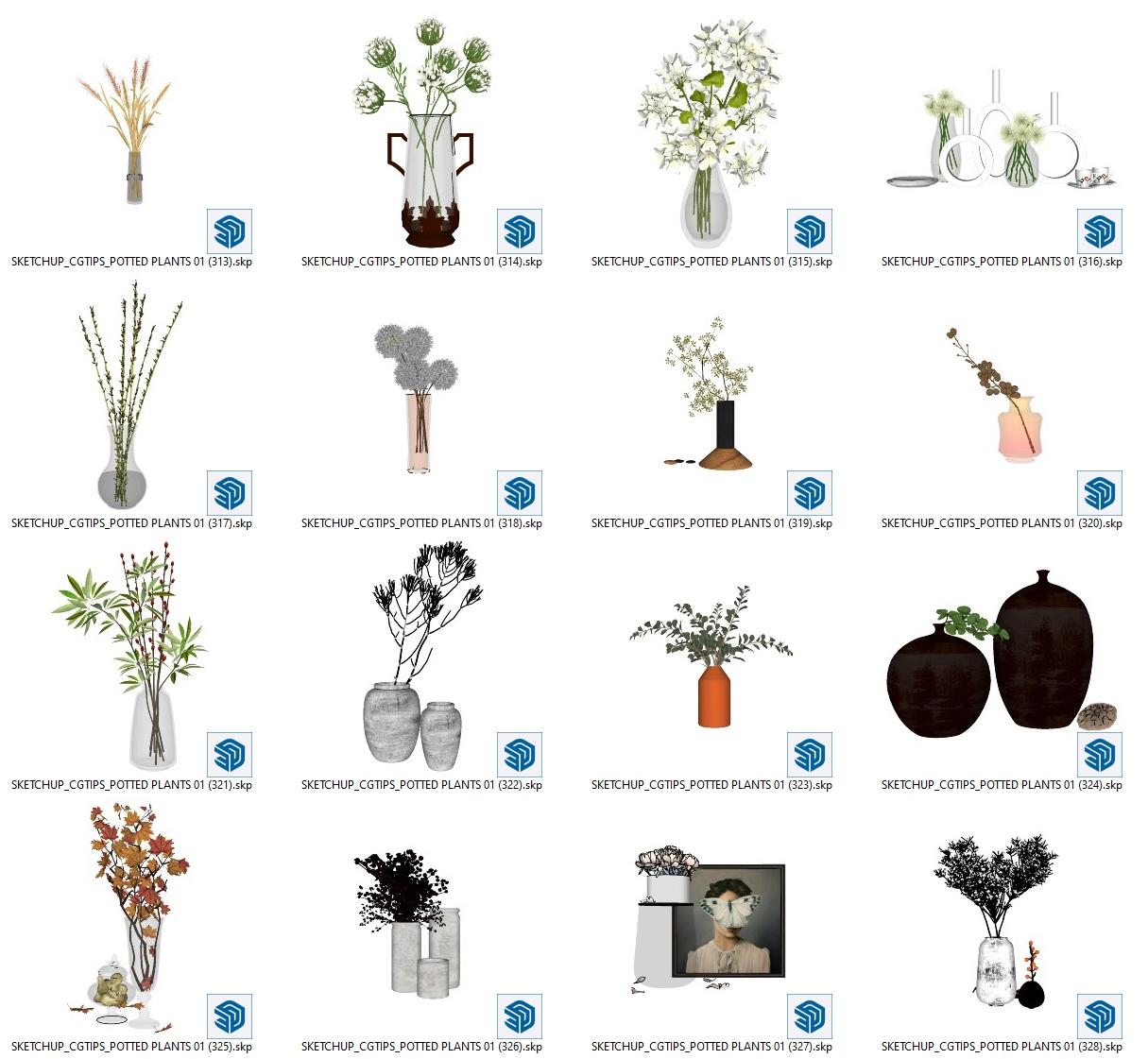 Potted Plants