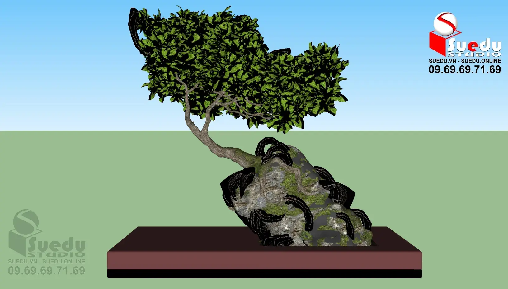 BonSai Tree