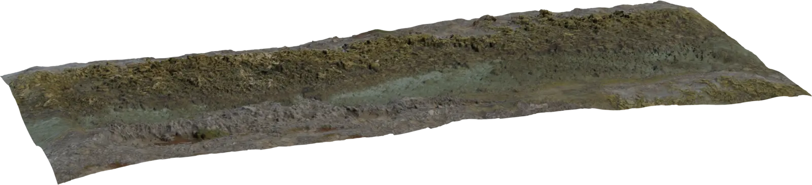 Coastal Shoreline Terrain Section with Algae and Rock — high-angle perspective of the elongated coastal terrain section with textured rock