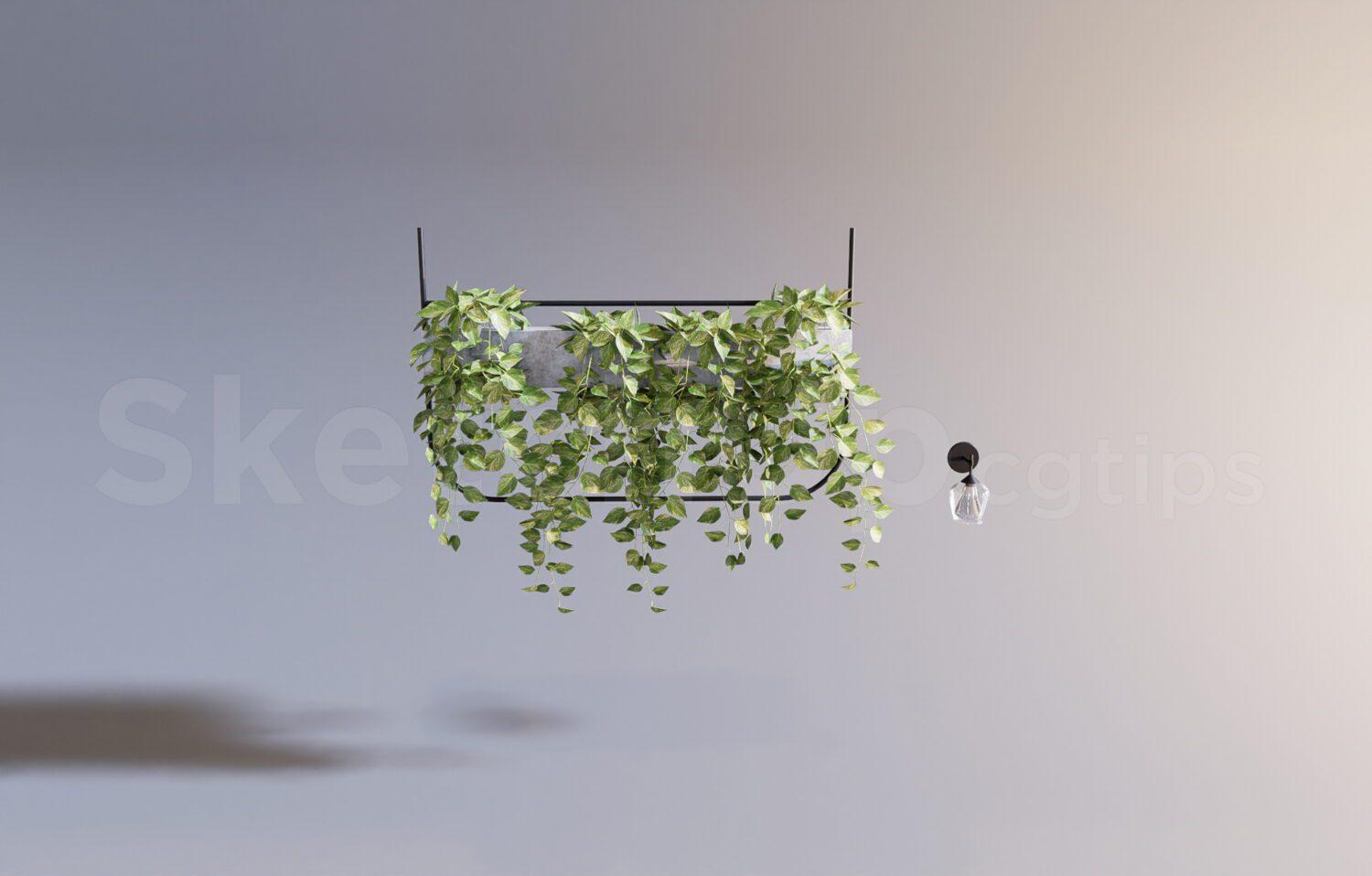 Plant