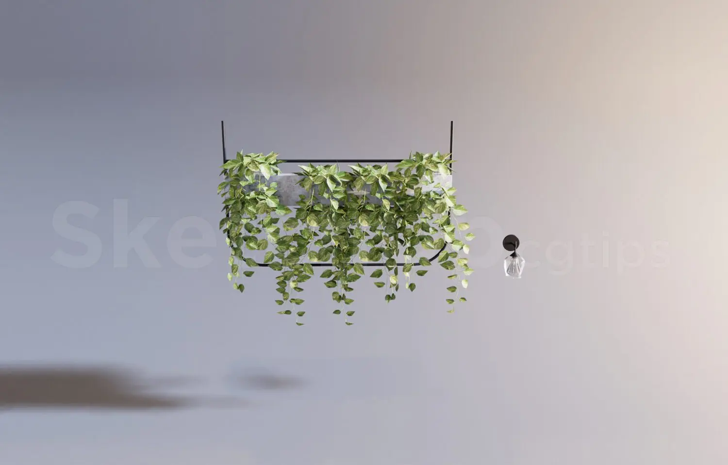 Plant