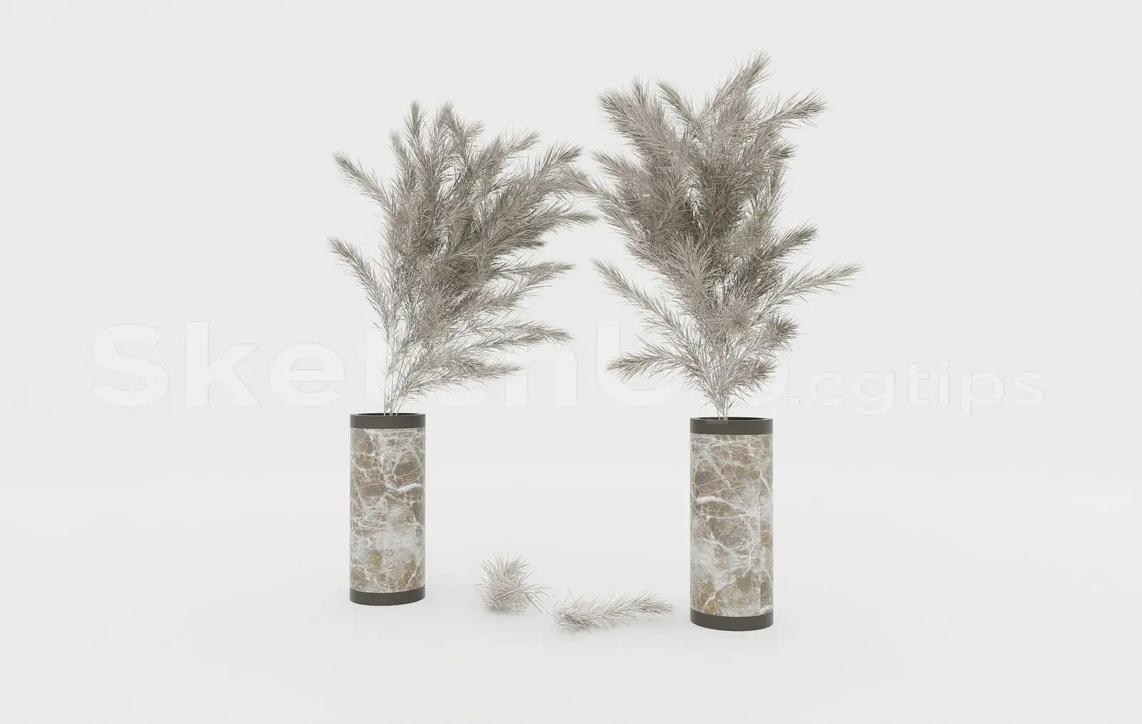 Pampas Grass