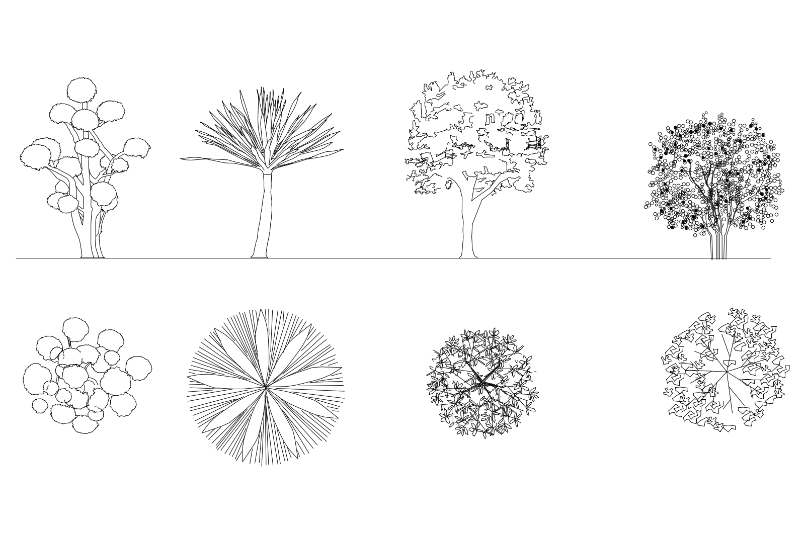 Ornamental trees