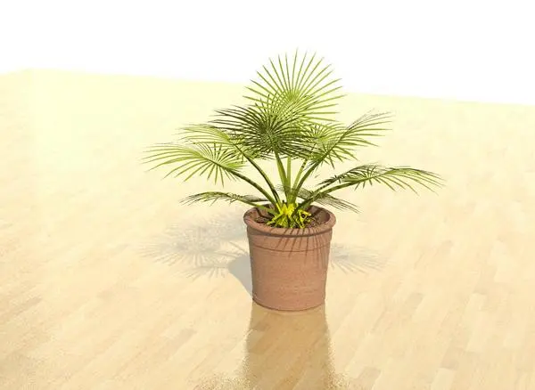 3D plant
