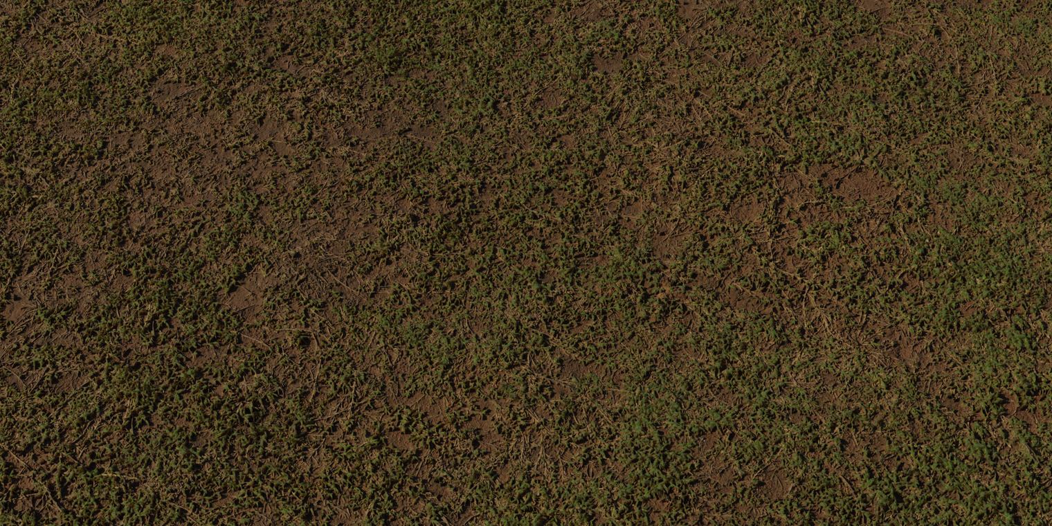 Sparse Grass