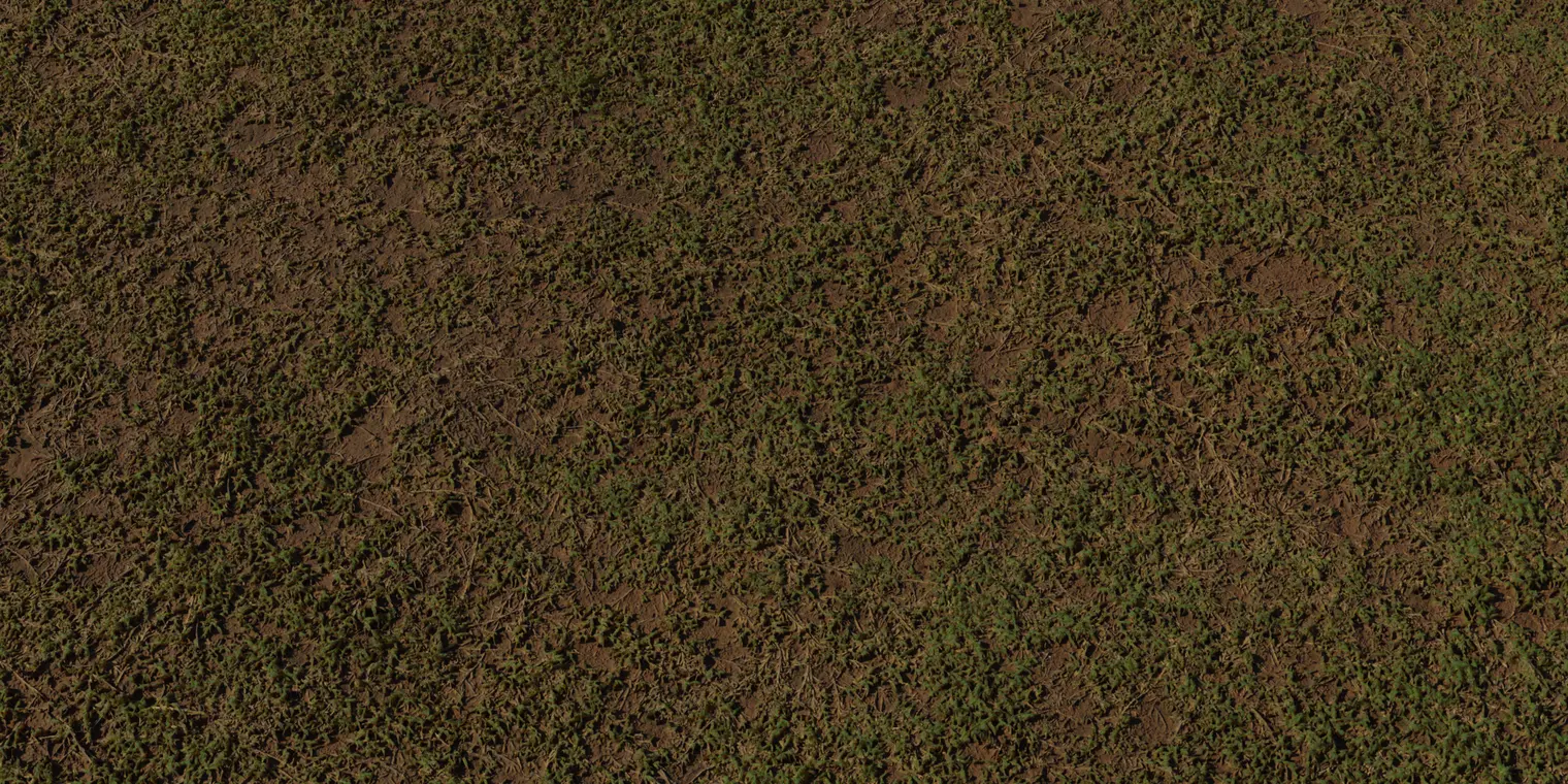 Sparse Grass