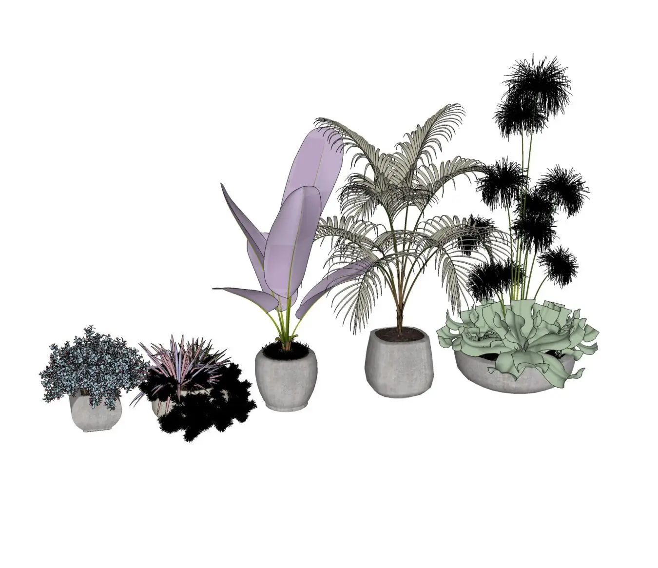 Plant