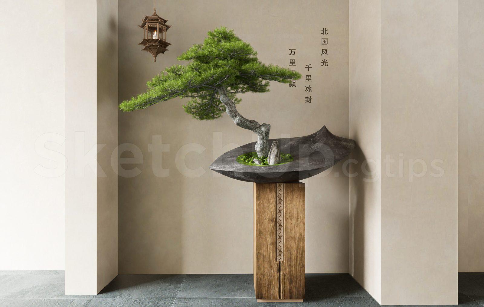 BonSai Tree