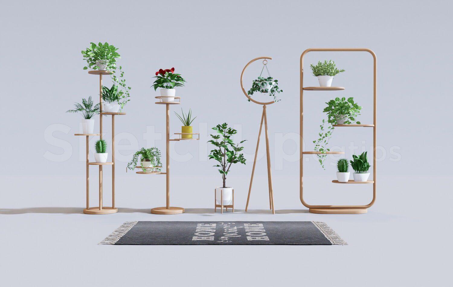 Plants