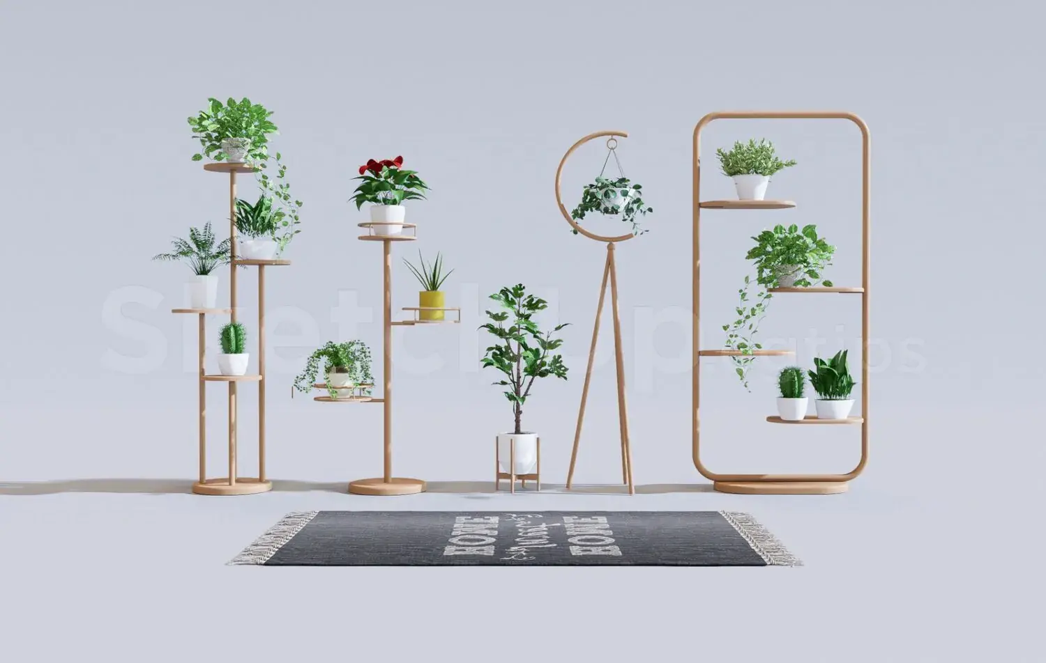 Plants