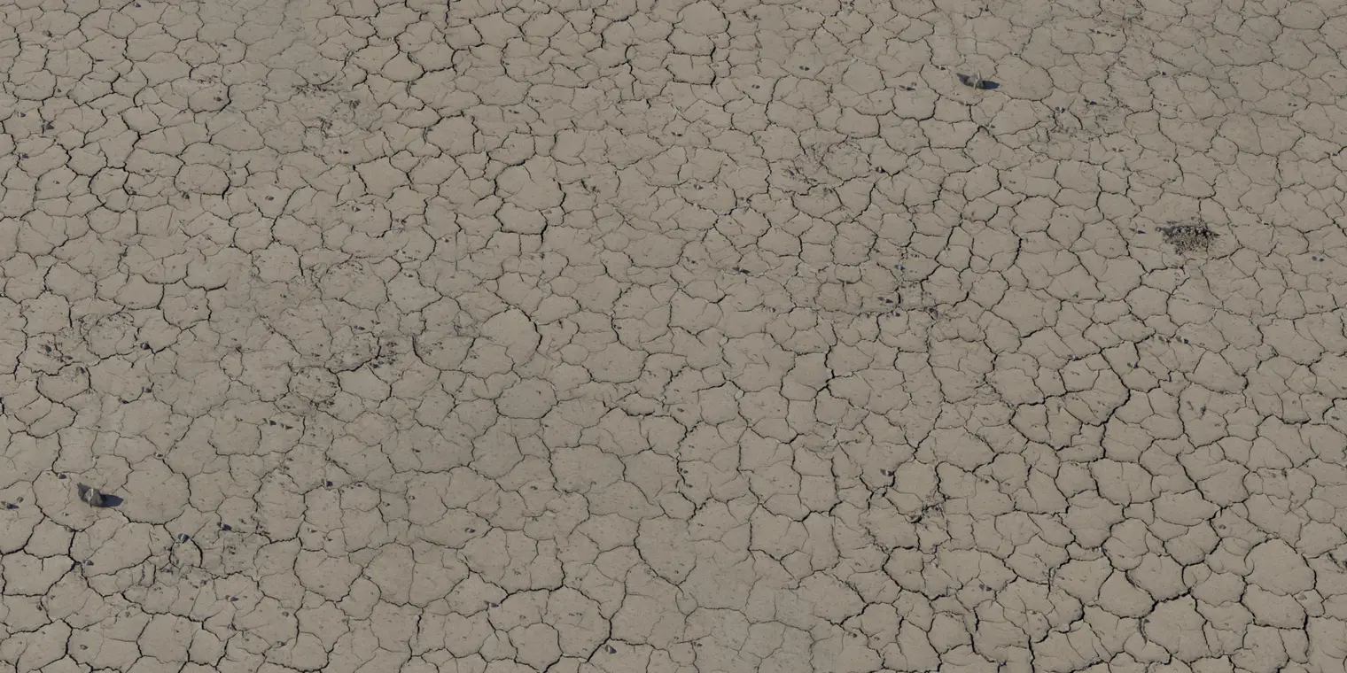Dry Ground 1