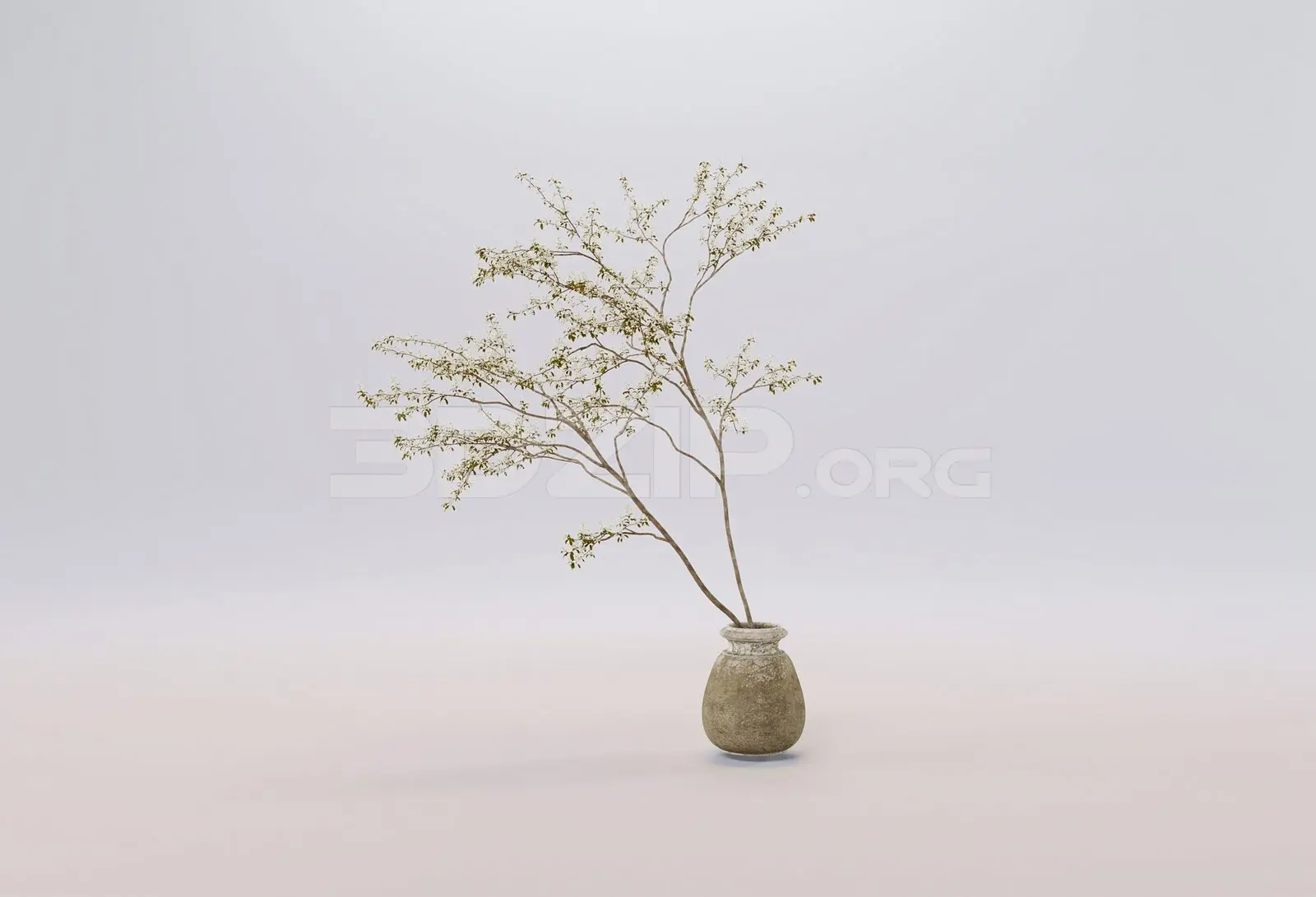 Plant — preview 1 (3dzip)