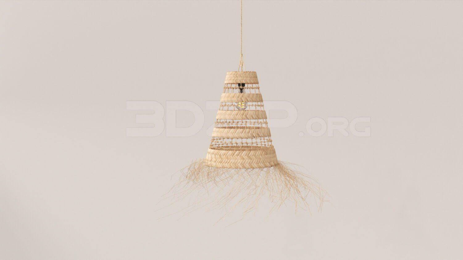 Ceiling Light