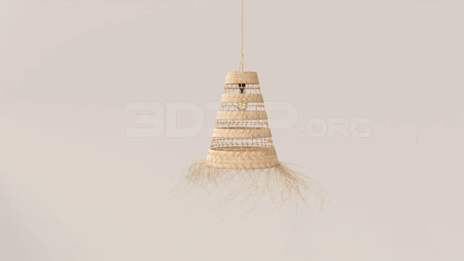 Ceiling Light