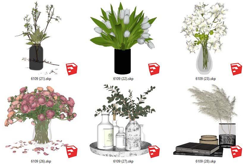 Plants