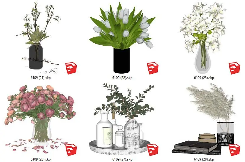 Plants
