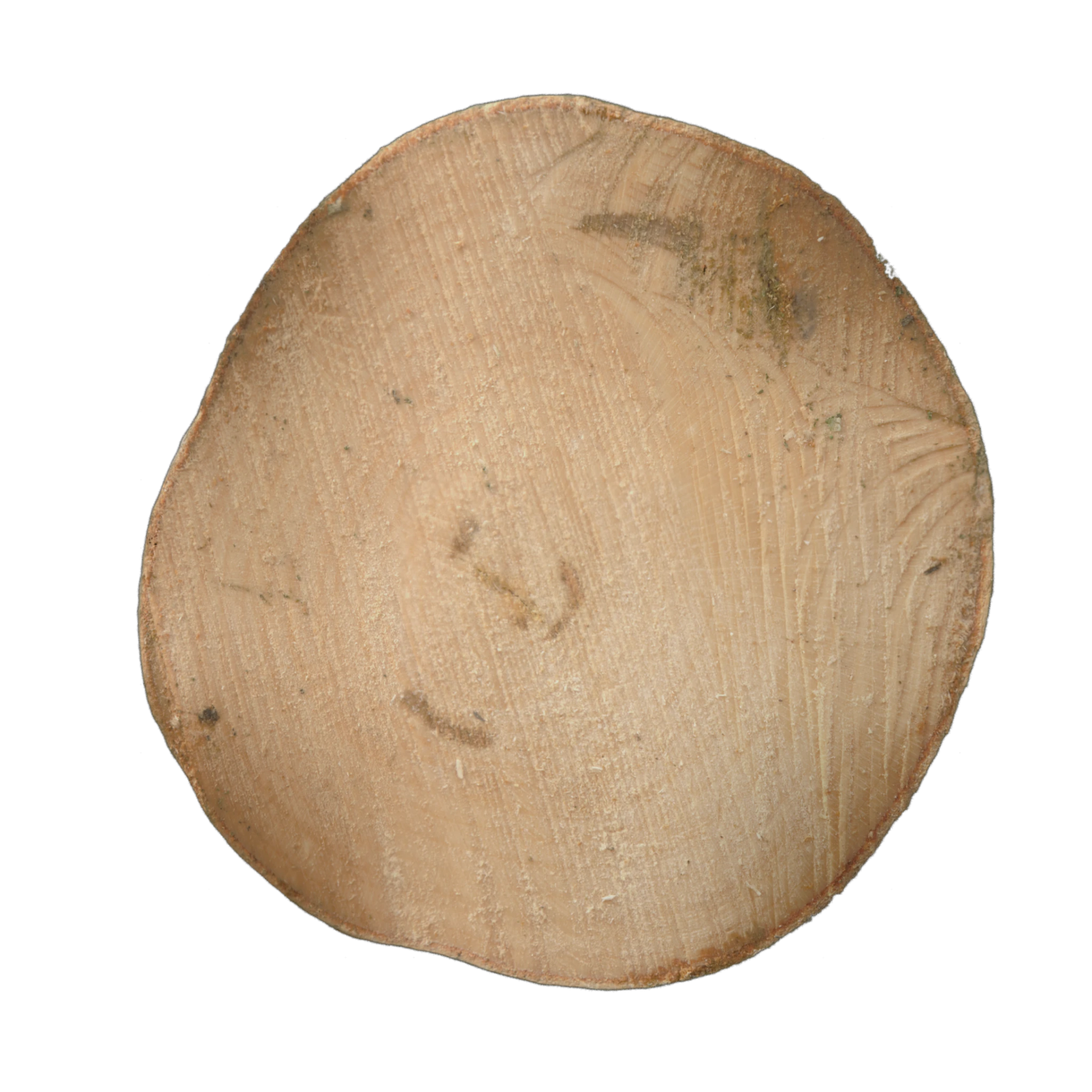 Tree End 001