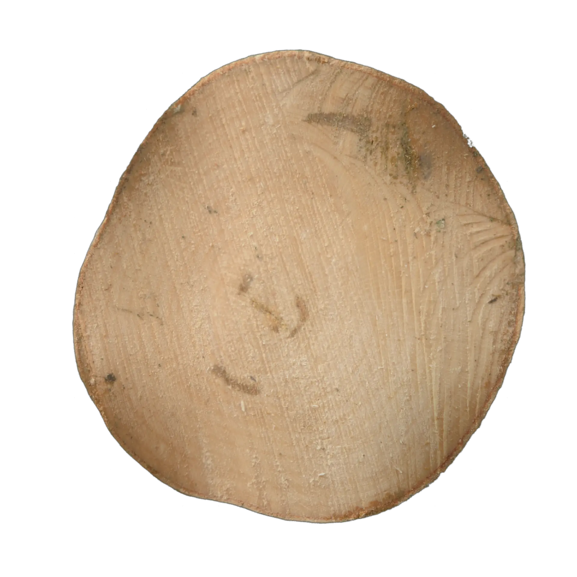 Tree End 001