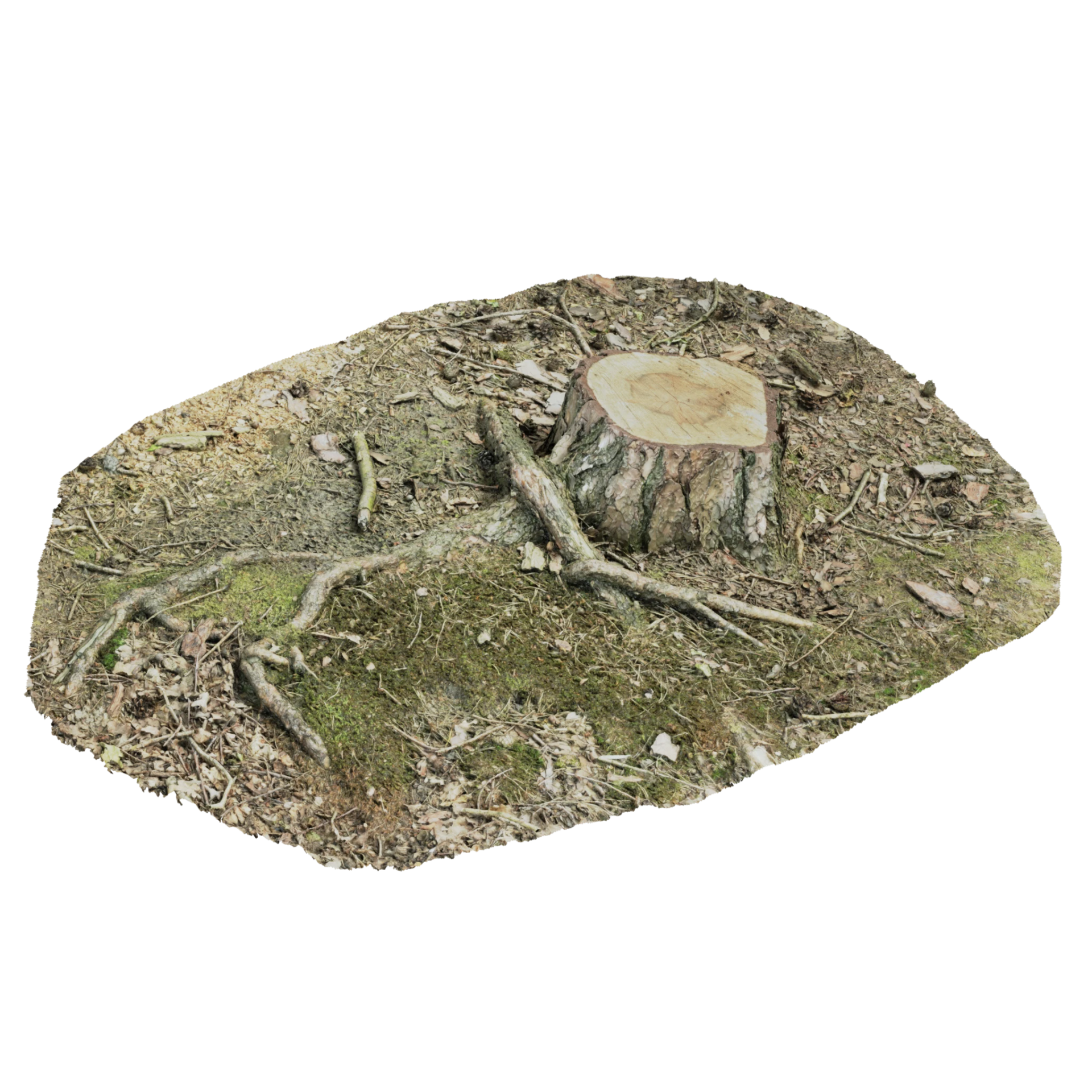 3D Tree Stump 001