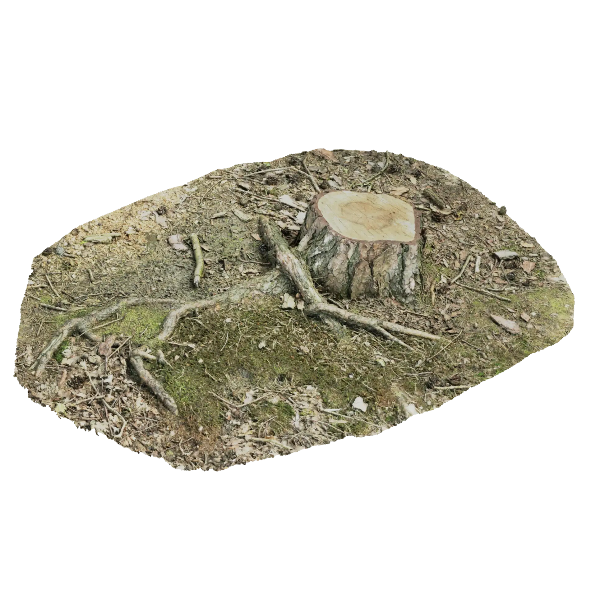 3D Tree Stump 001