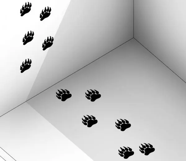 Black Paw Print Wall and Floor Graphic Decals — isometric corner view showing black claw paw print graphics along floor and wall