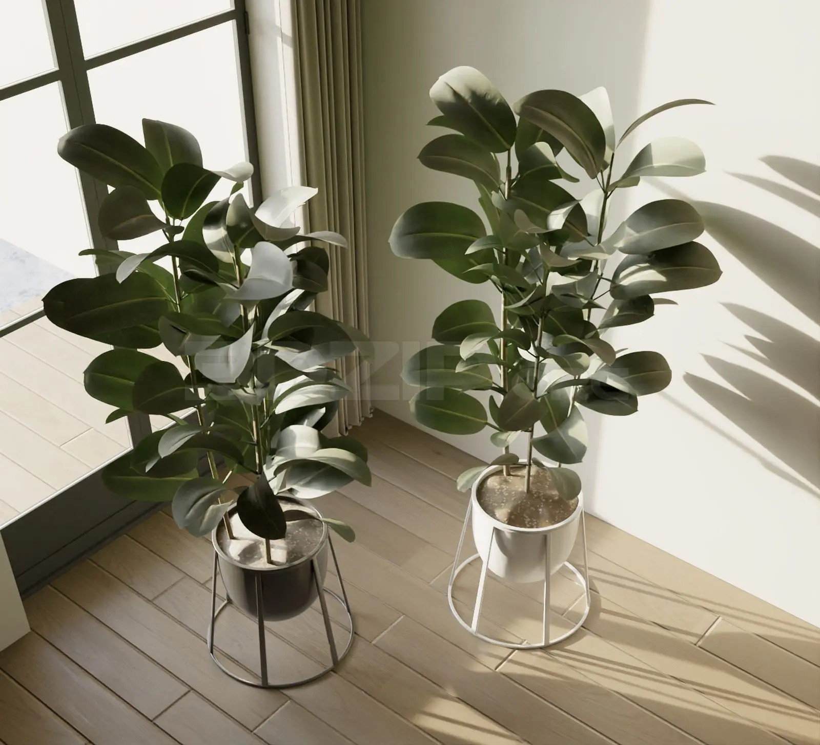 Plants