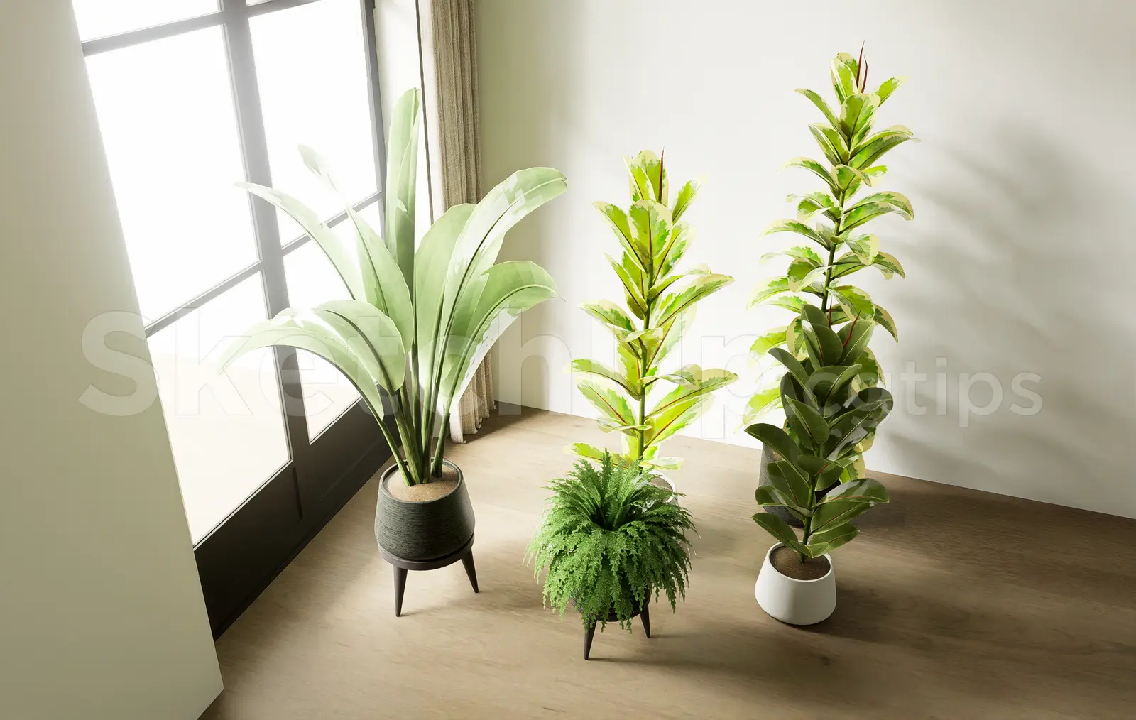 Indoor Potted Plants Set – Banana Leaf & Rubber Tree