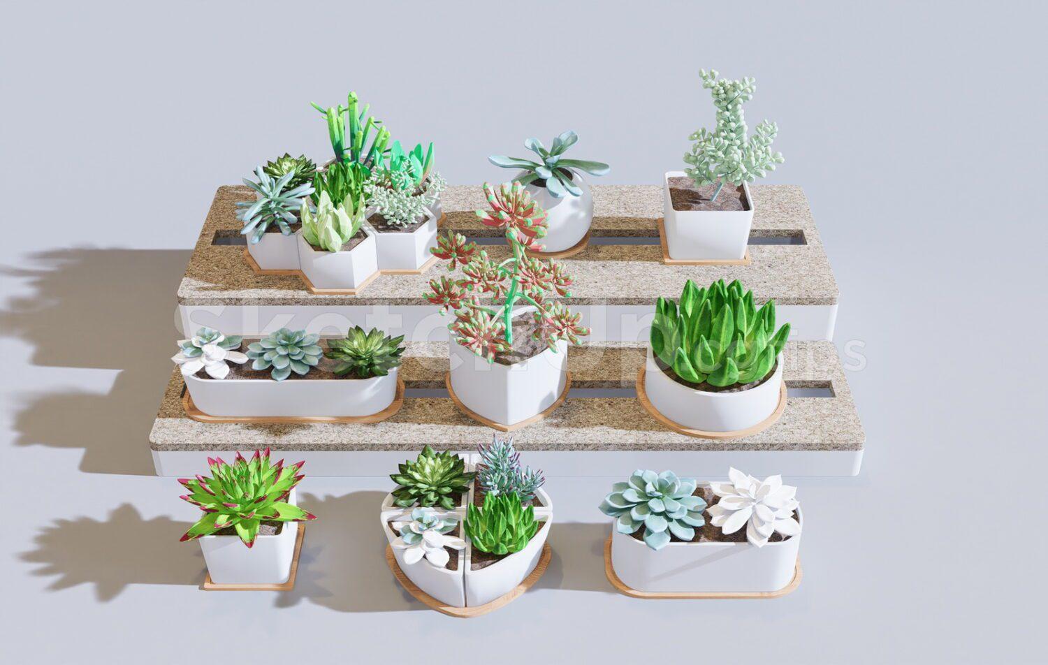 Plants