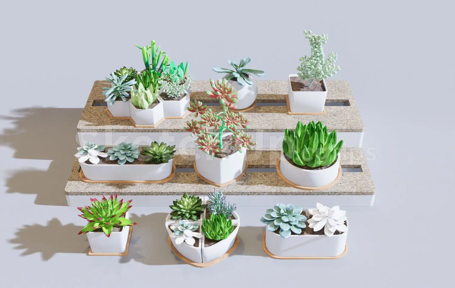 Plants