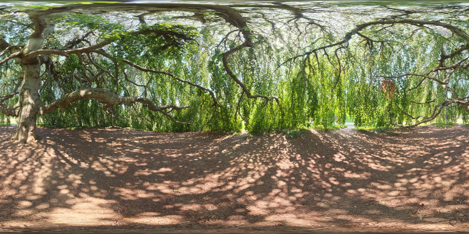 Green Sanctuary