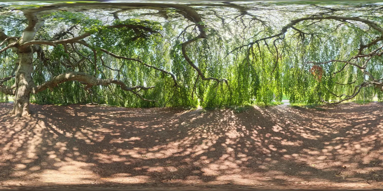 Green Sanctuary