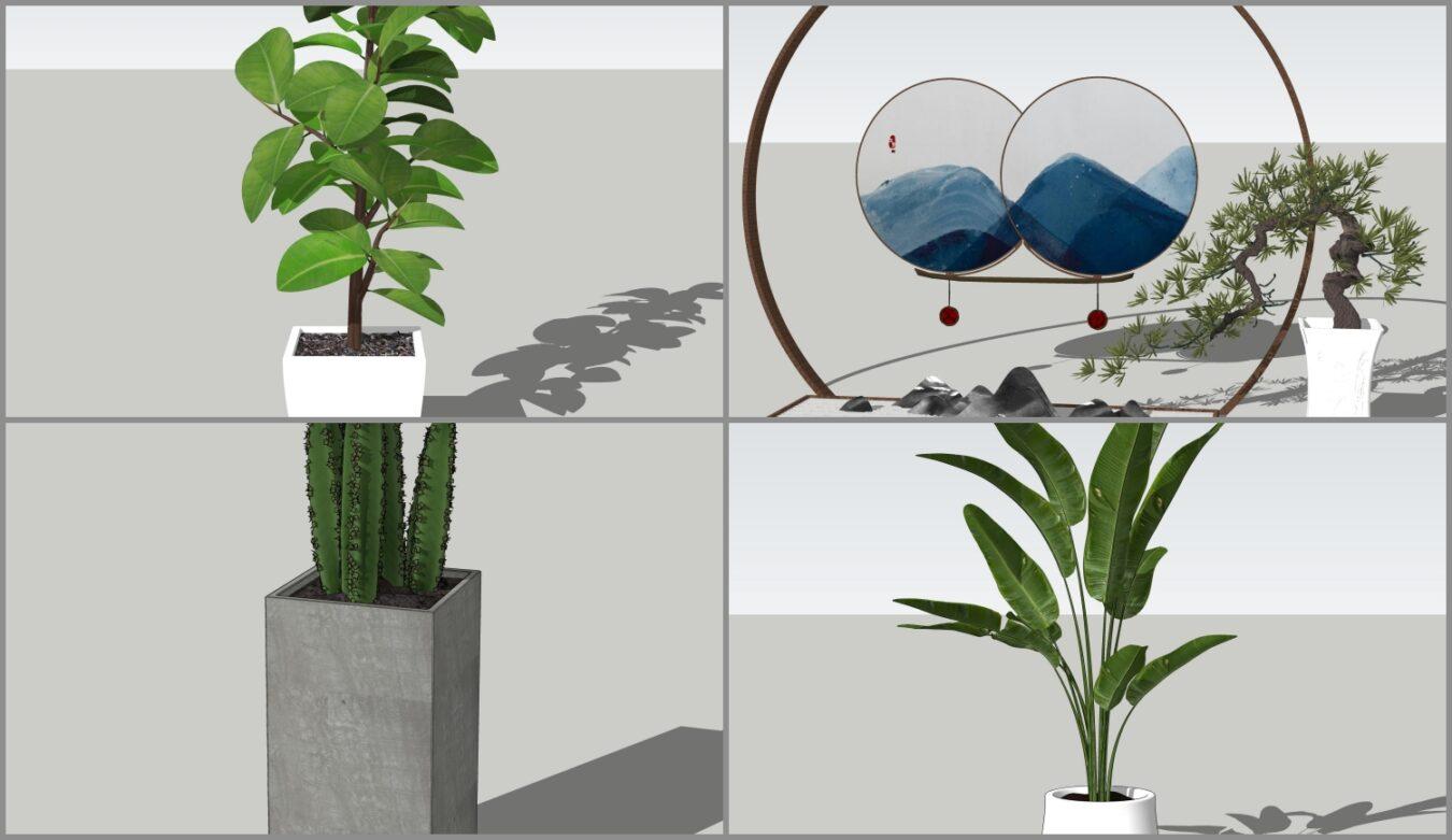 Plant