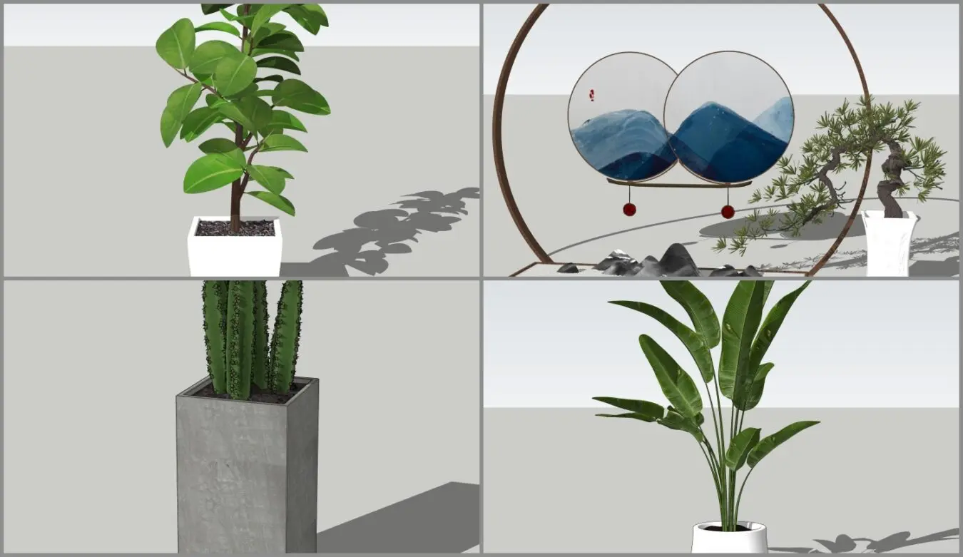 Plant