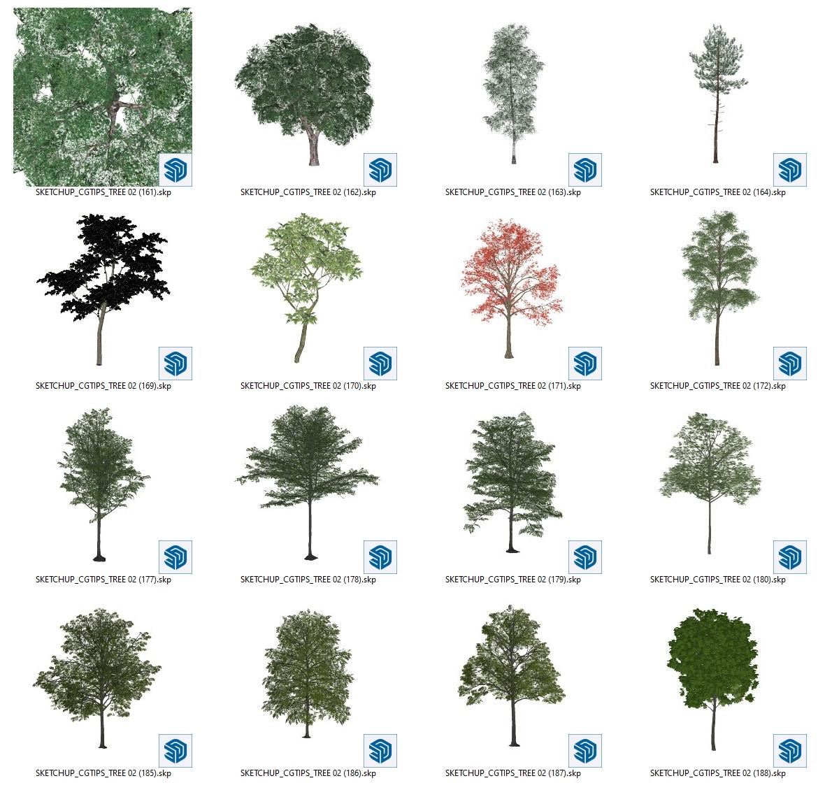 Trees