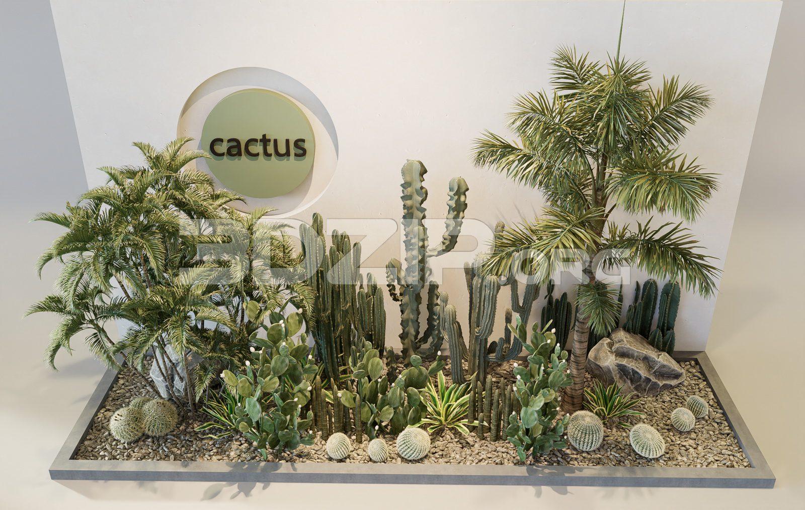 Plants
