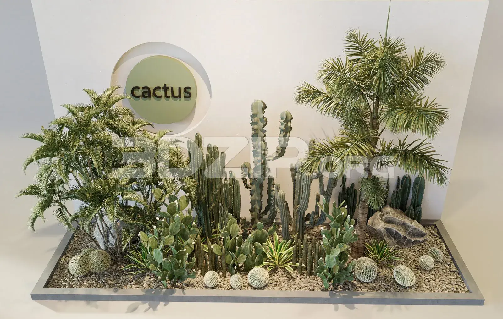 Plants
