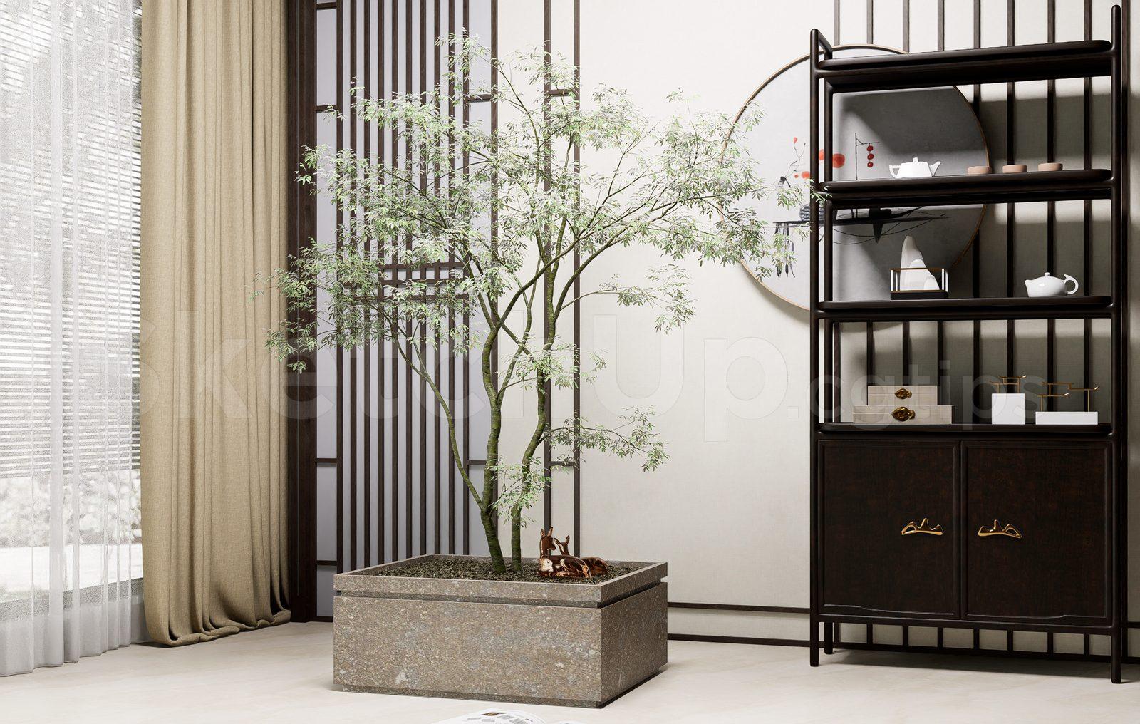 Plant