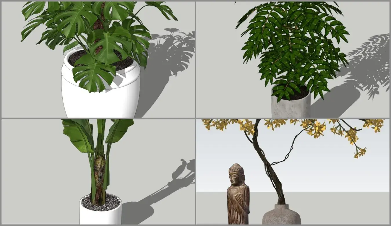 Plant
